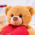 Valentines Gifts Stuffed Teddy Bear Plush Toy